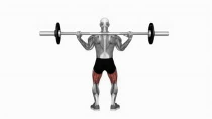 Barbell squat exercise in VelaForce