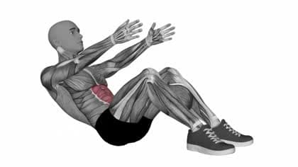 Crunch exercise
