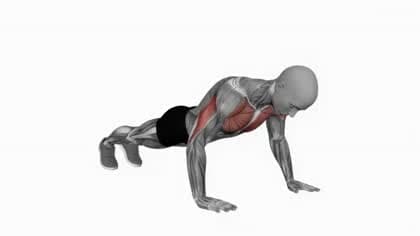 Push-up exercise in VelaForce