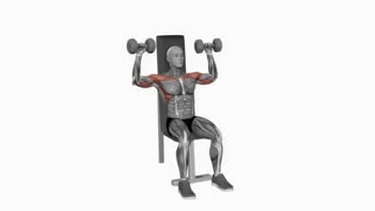 Shoulder press exercise